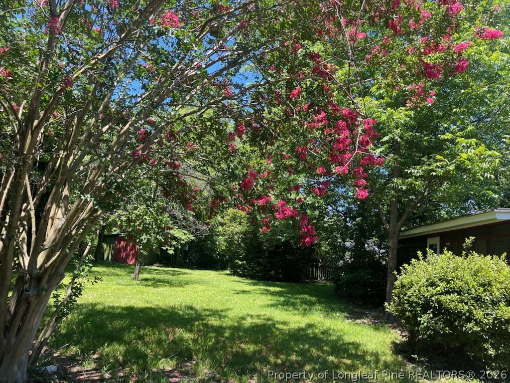 425 Dunmore Road Fayetteville, NC 28303 - Photo 20 of 21 a view of a yard with a tree
