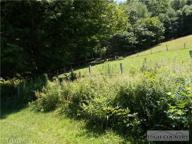 675 Little Laurel Road Creston, NC 28615 - Photo 4 of 11