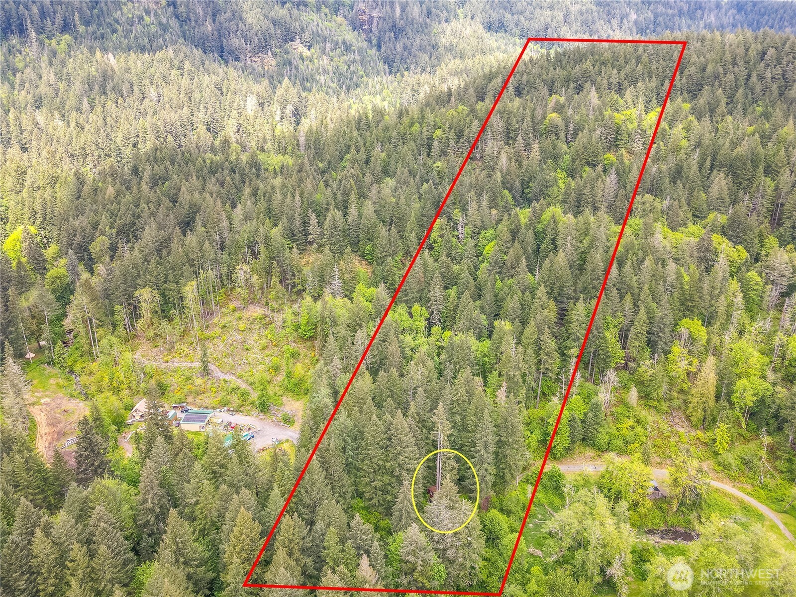 0 Carr Road Randle, WA 98377 - Photo 18 of 20