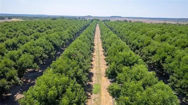 $1,200,000 | 216 County Road 216, San Saba, TX 76877