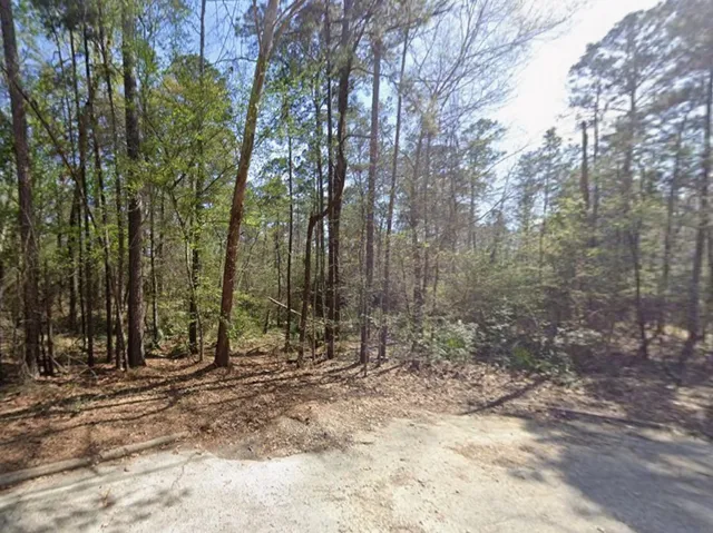 a view of covered with trees