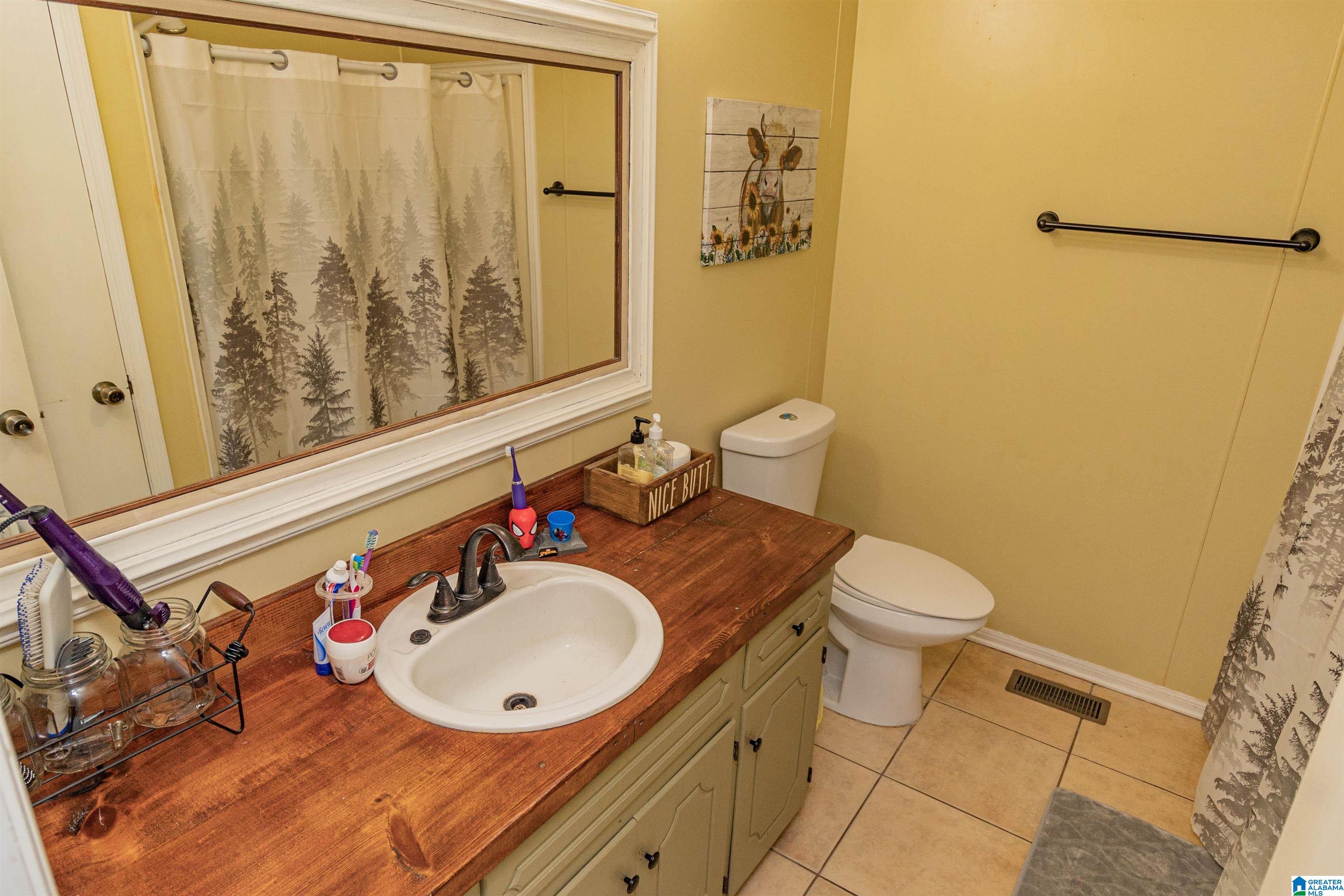 1667 Holly Hills Road Lincoln, AL 35096 - Photo 12 of 21