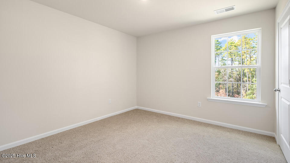 10811 Beard Way Bailey, NC 27807 - Photo 19 of 45 dr-horton-gretchen-pines-lot-73-021