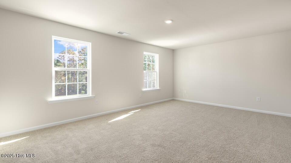 10811 Beard Way Bailey, NC 27807 - Photo 29 of 45 dr-horton-gretchen-pines-lot-73-029