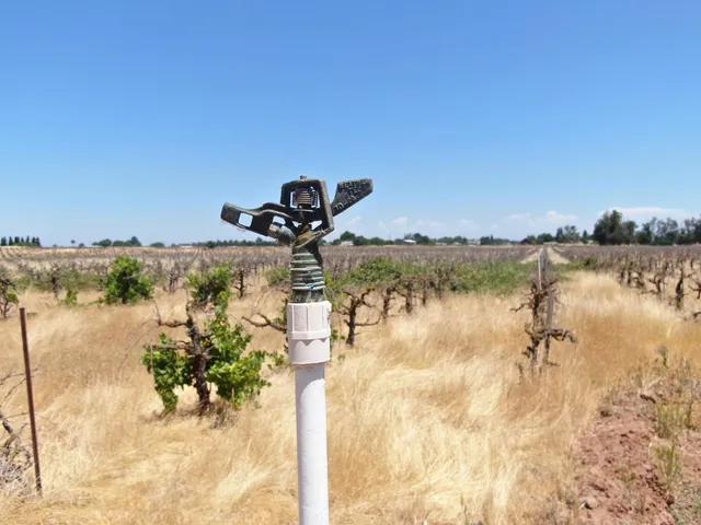 $1,600,000 | 11501 East Jahant Road, Acampo, CA 95220