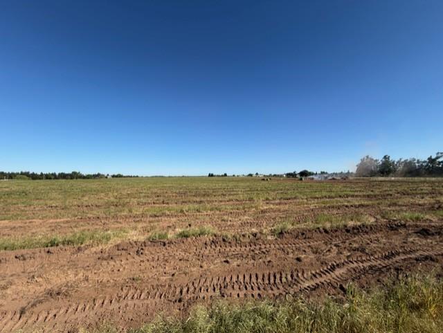 11501 East Jahant Road Acampo, CA 95220 - Photo 6 of 10