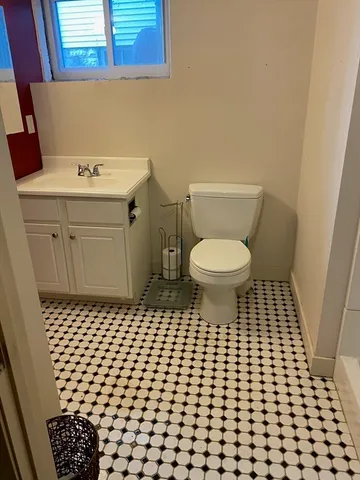 a bathroom with a sink and a toilet