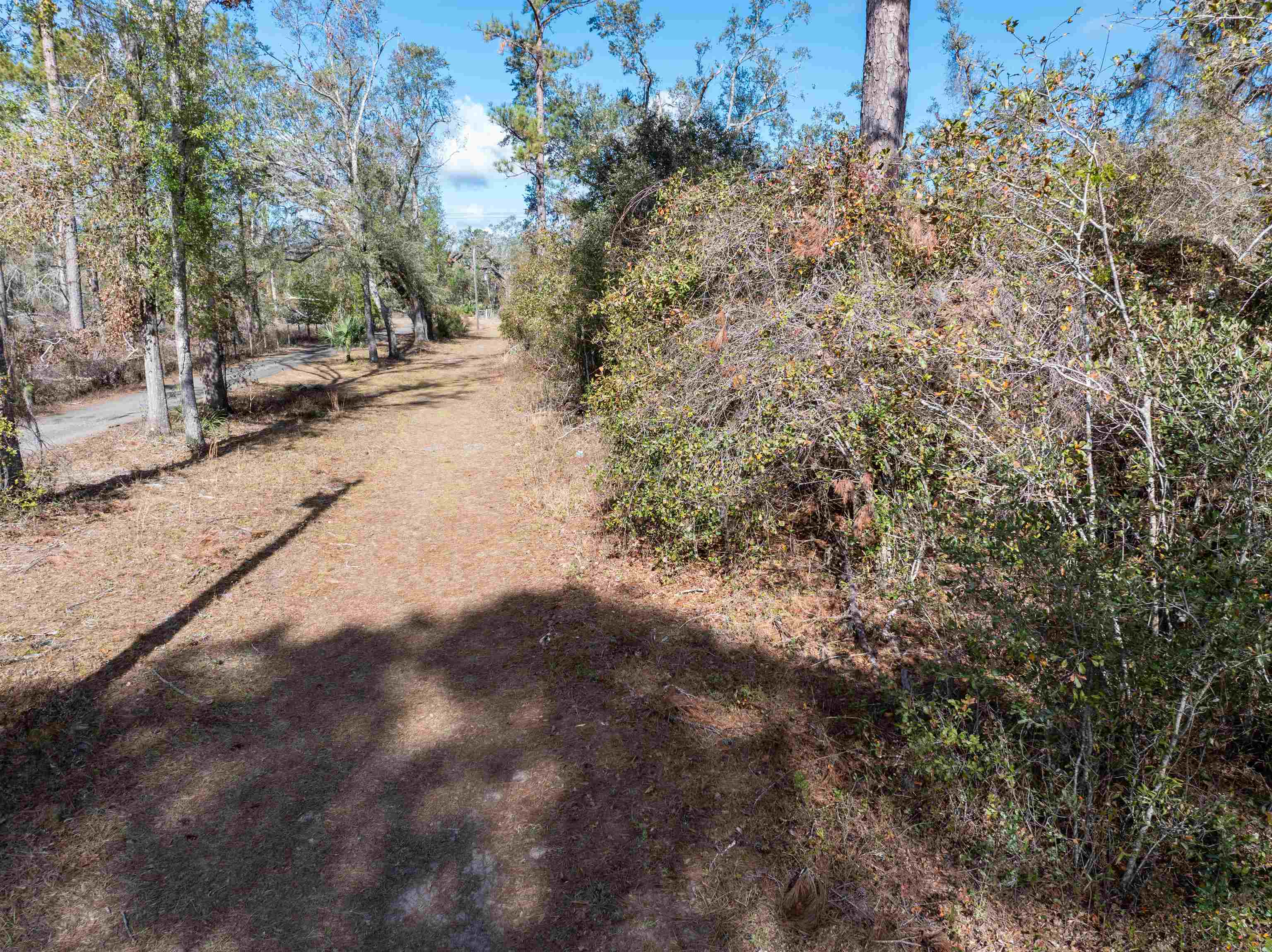 60.11 East Ellison Road Perry, FL 32347 - Photo 18 of 25 Gallery Image 18