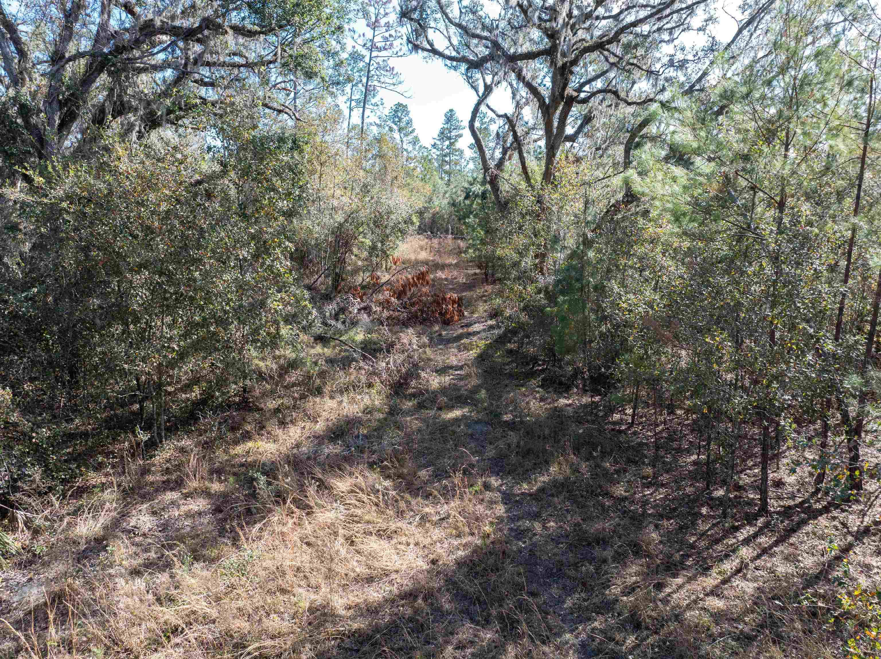 60.11 East Ellison Road Perry, FL 32347 - Photo 20 of 25 Gallery Image 20