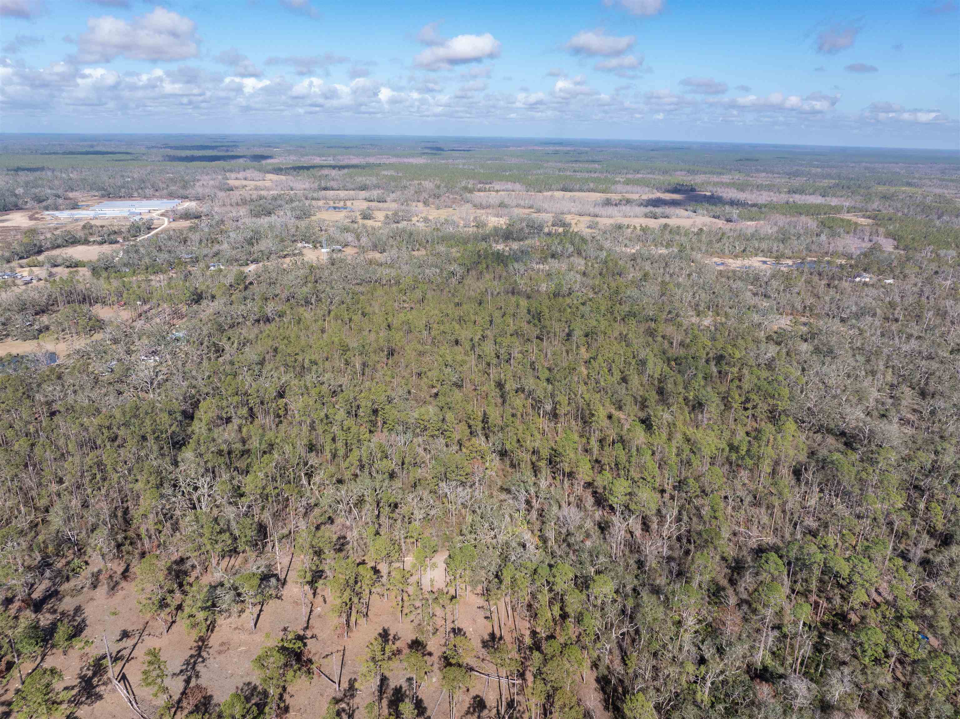 60.11 East Ellison Road Perry, FL 32347 - Photo 8 of 25 Gallery Image 8