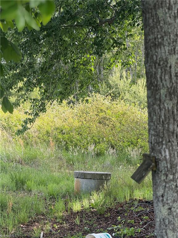 0 Amostown Road Sandy Ridge, NC 27046 - Photo 30 of 33