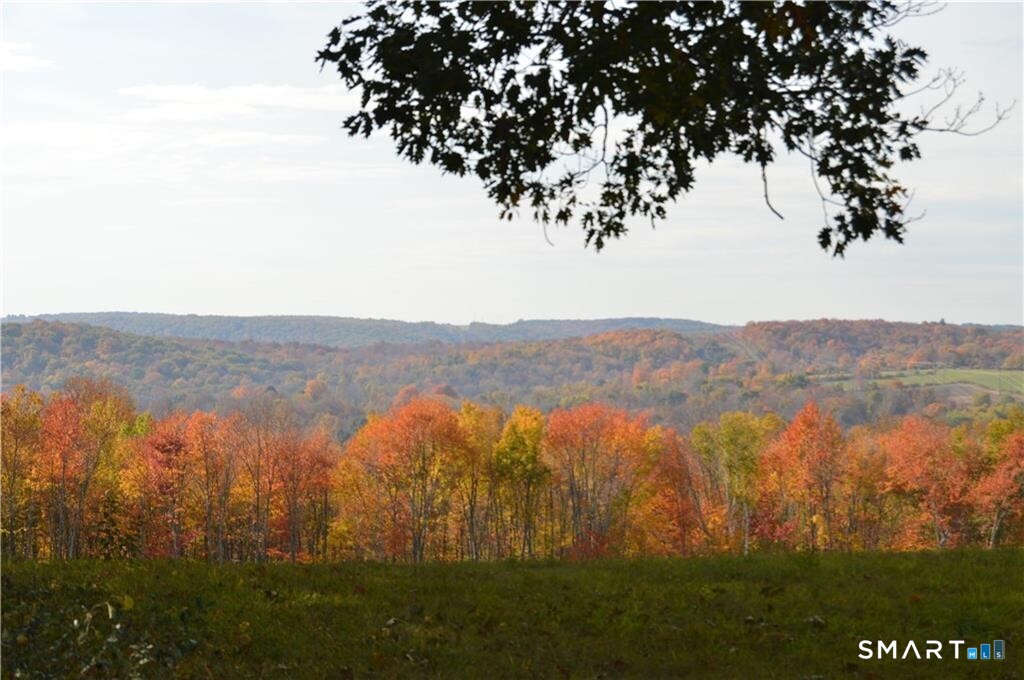 92 Quail Run Road Woodbury, CT 06798 - Photo 37 of 40 Gallery Image 37