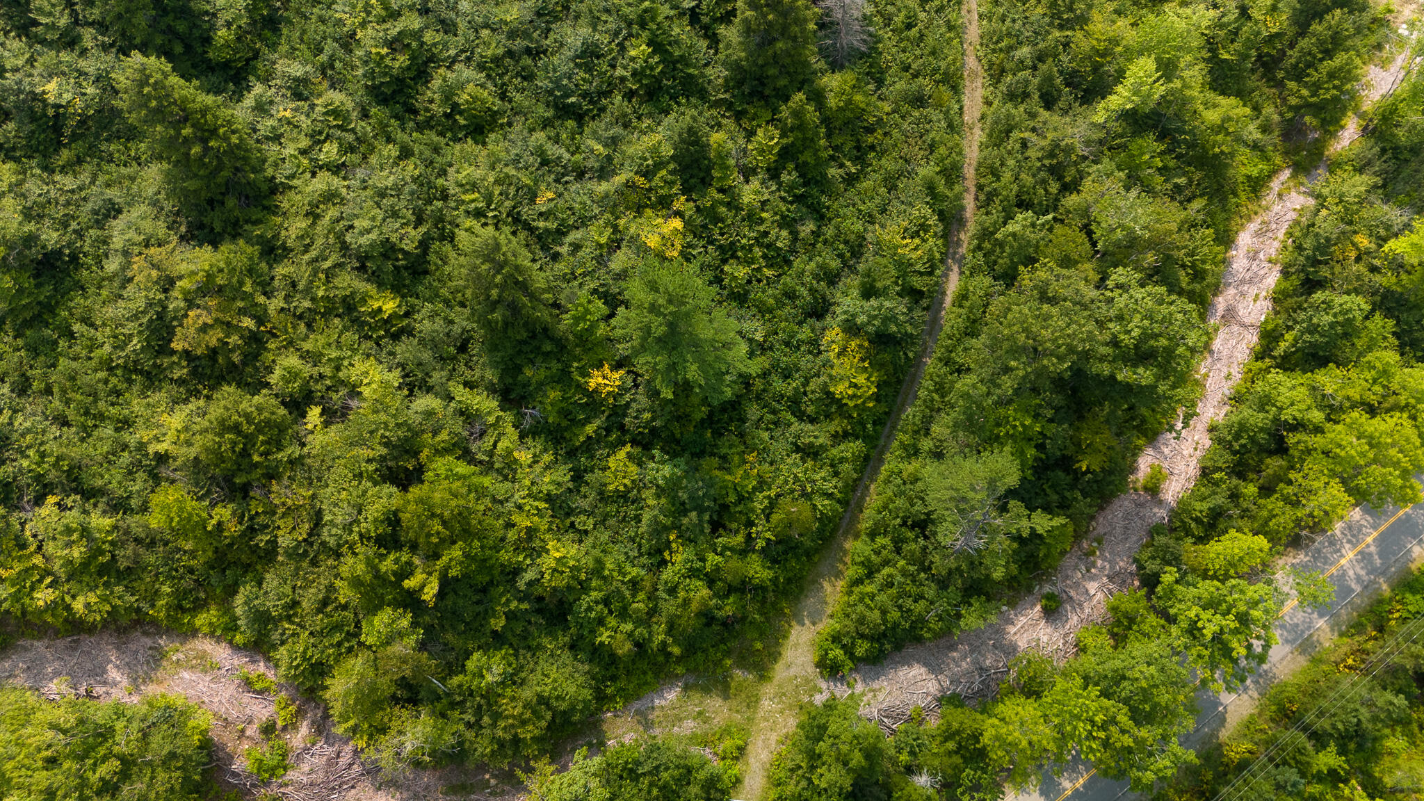 Lot9 Lot9 Bear Brook Sebec, ME 04481 - Photo 11 of 17 DJI_20240813135253_0606_D