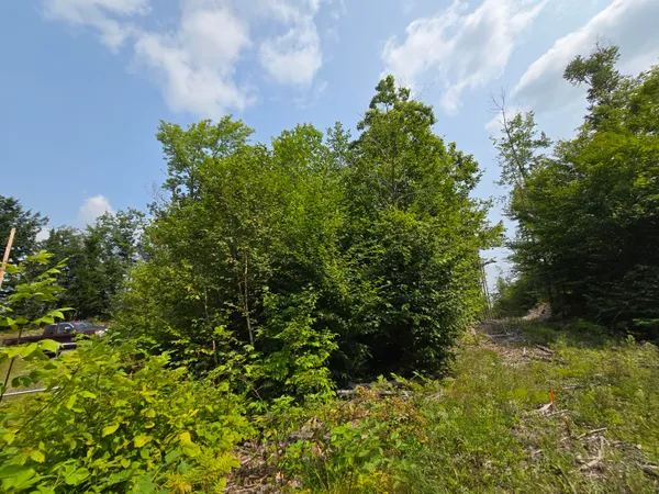 $39,000 | Lot9 Lot9 Bear Brook, Sebec, ME 04481
