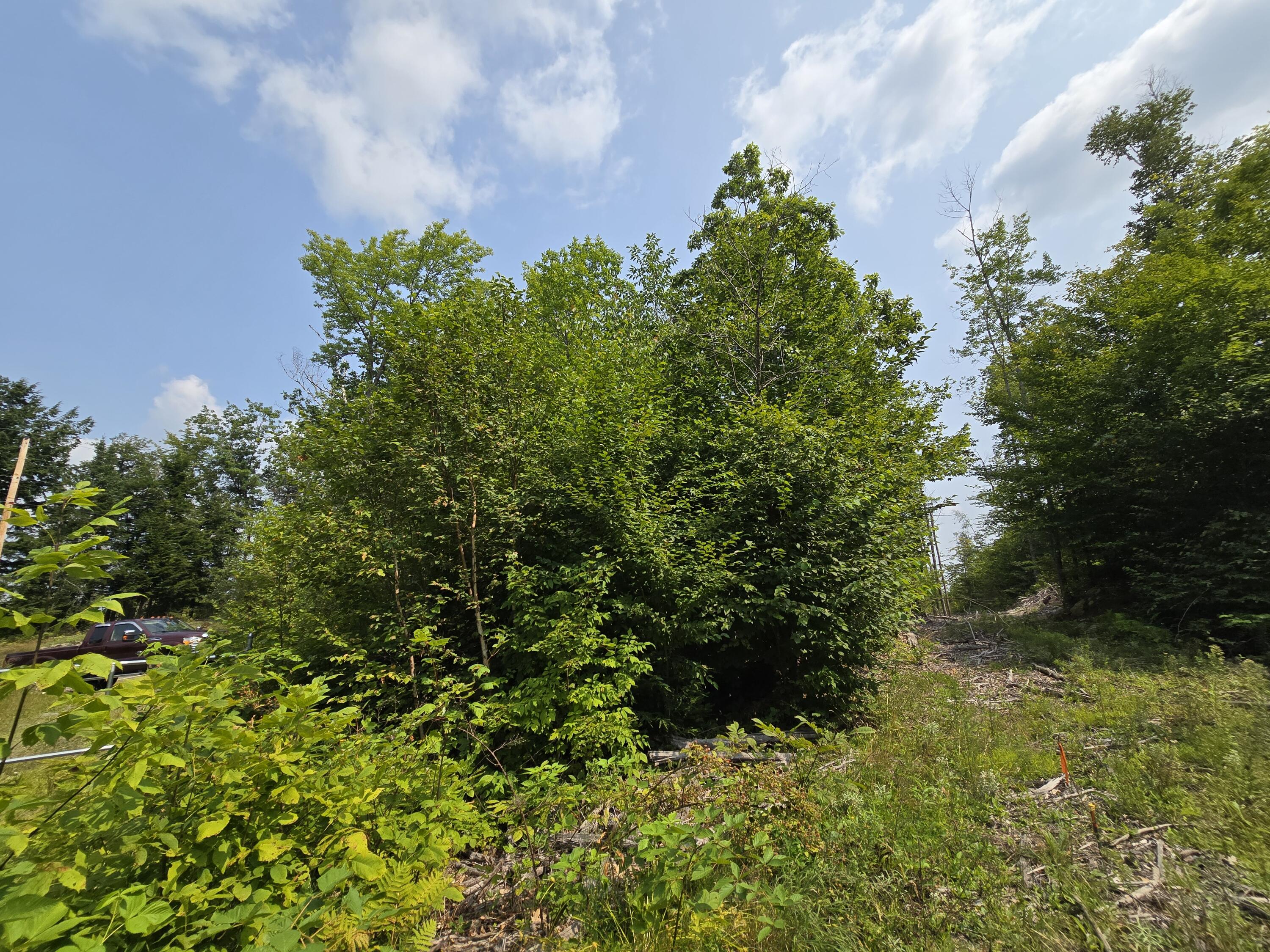 Lot9 Lot9 Bear Brook Sebec, ME 04481 - Photo 14 of 17 Lot 9-3