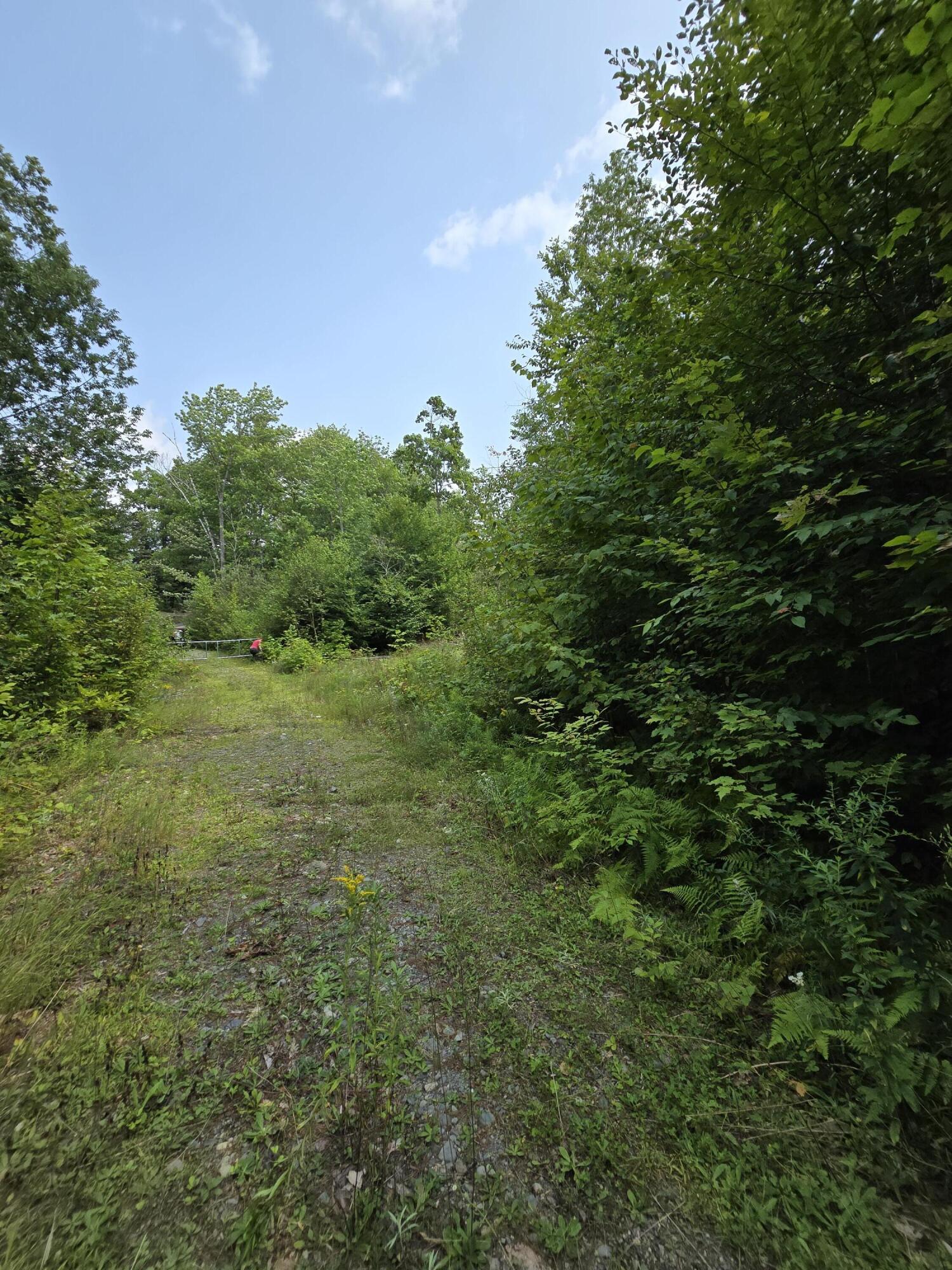 Lot9 Lot9 Bear Brook Sebec, ME 04481 - Photo 15 of 17 Lot 9-2