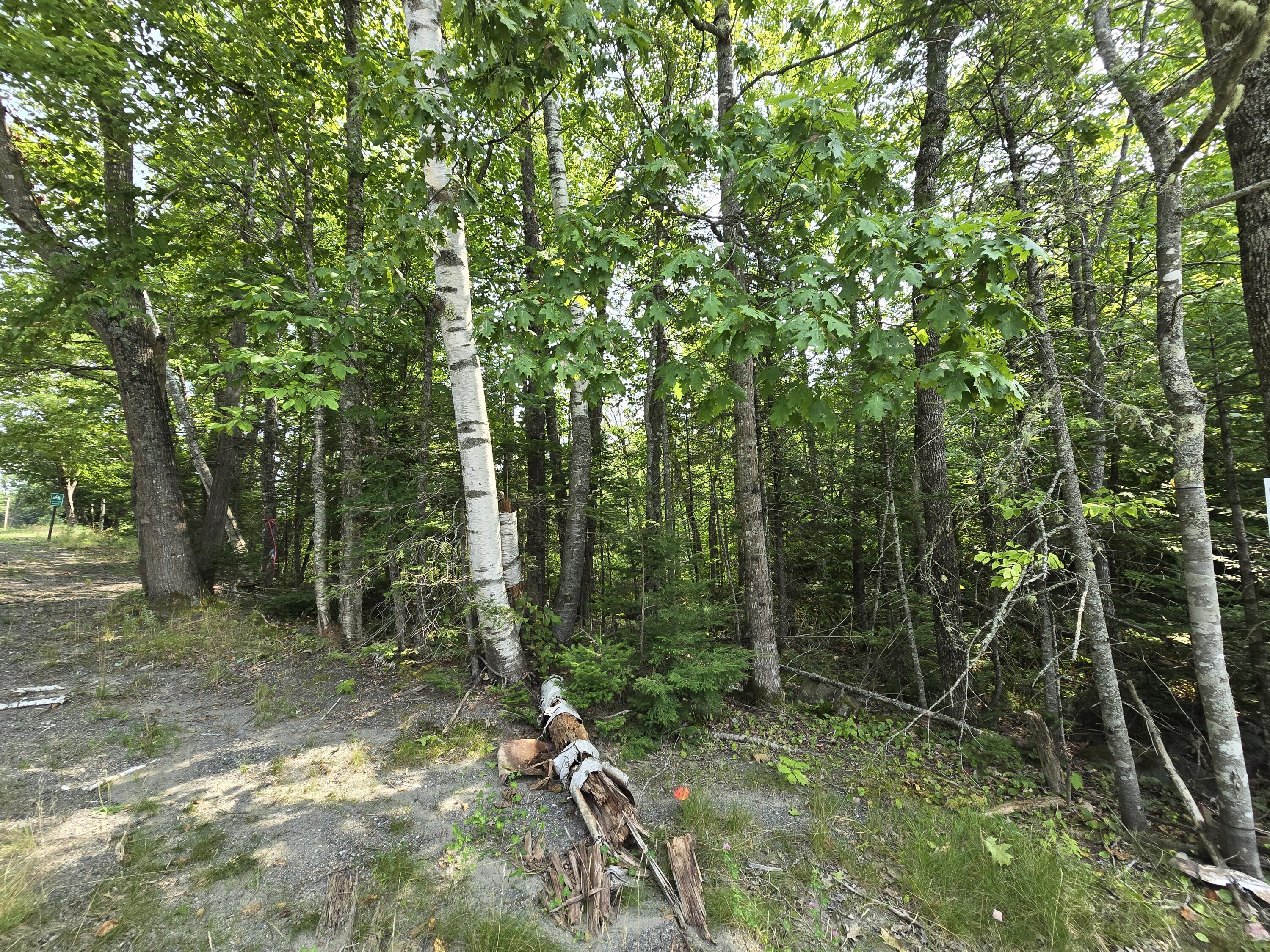 Lot9 Lot9 Bear Brook Sebec, ME 04481 - Photo 2 of 17 Lot 9-5