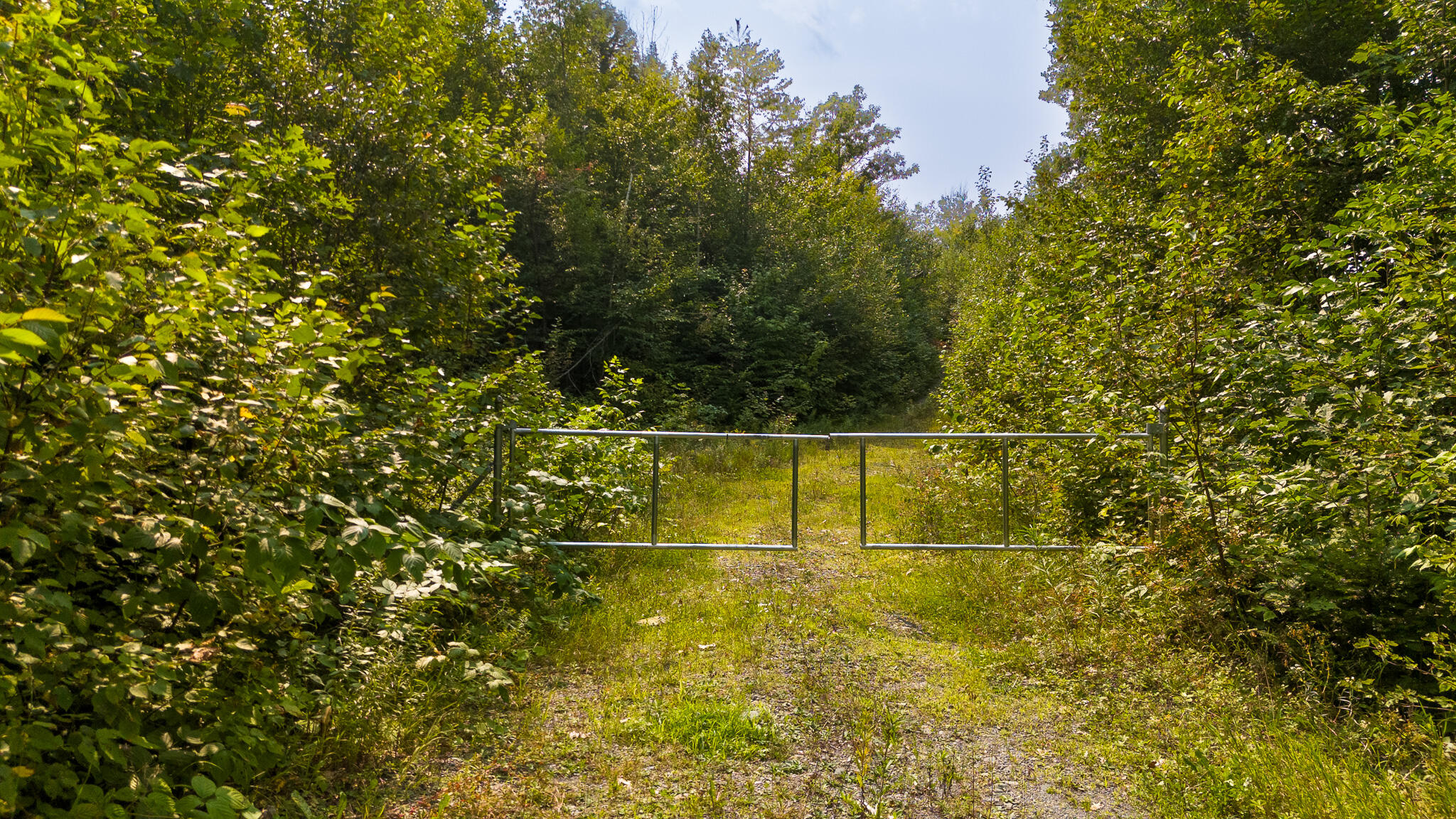 Lot9 Lot9 Bear Brook Sebec, ME 04481 - Photo 4 of 17 DJI_20240813135126_0596_D