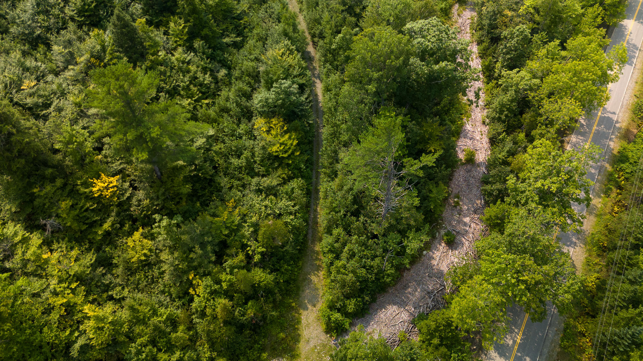 Lot9 Lot9 Bear Brook Sebec, ME 04481 - Photo 5 of 17 DJI_20240813135145_0597_D