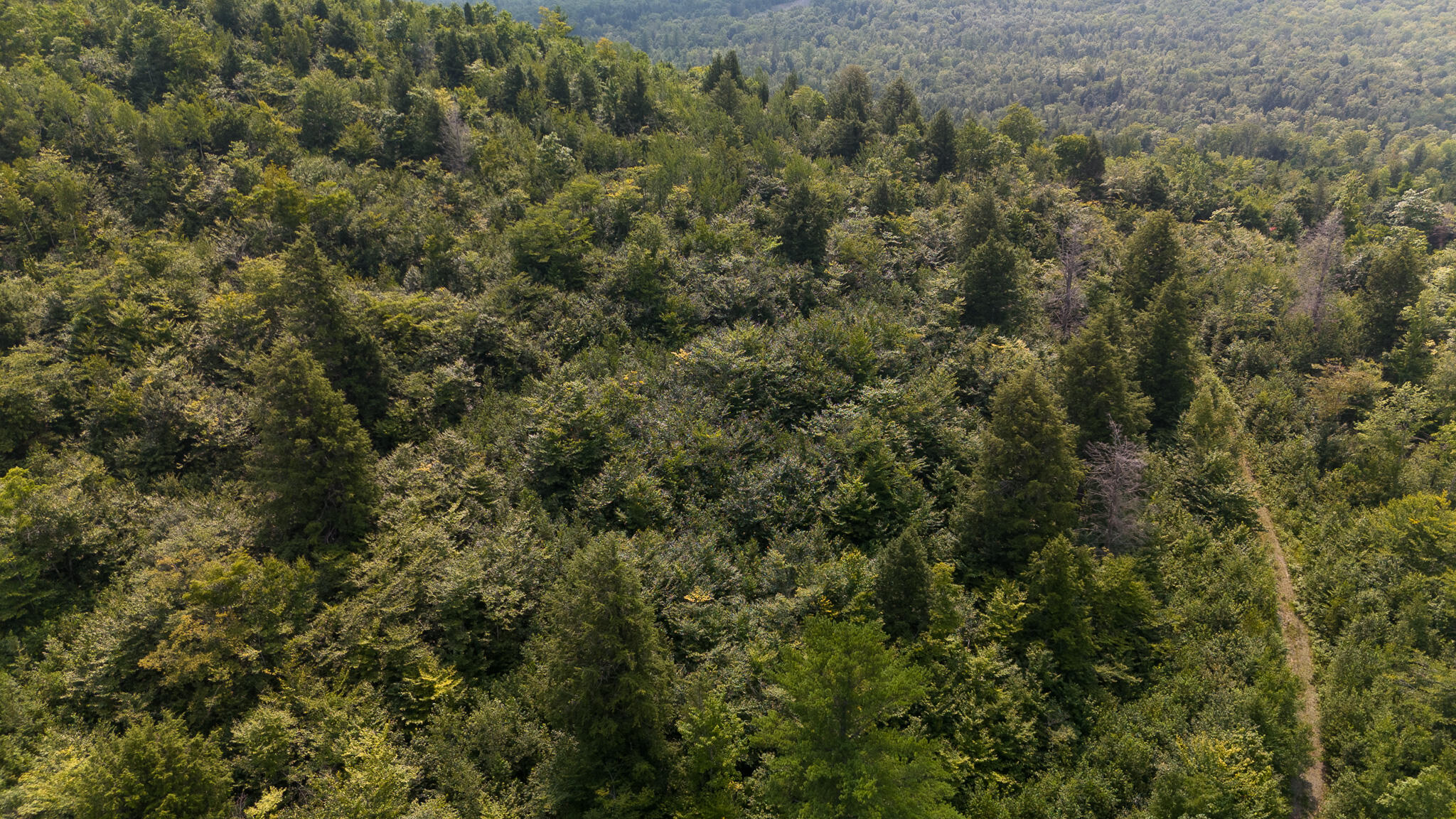 Lot9 Lot9 Bear Brook Sebec, ME 04481 - Photo 6 of 17 DJI_20240813135155_0600_D
