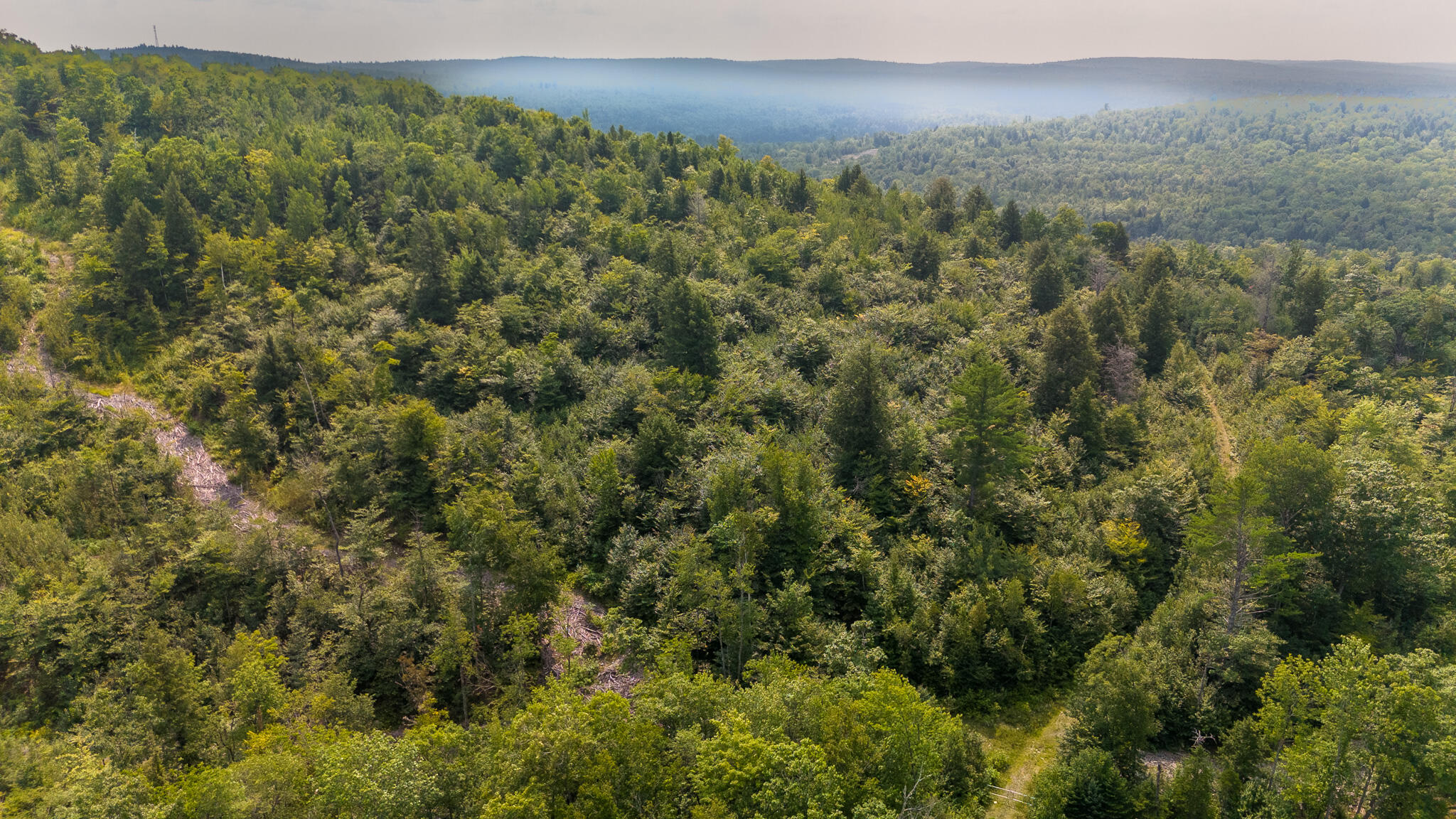 Lot9 Lot9 Bear Brook Sebec, ME 04481 - Photo 8 of 17 DJI_20240813135220_0603_D
