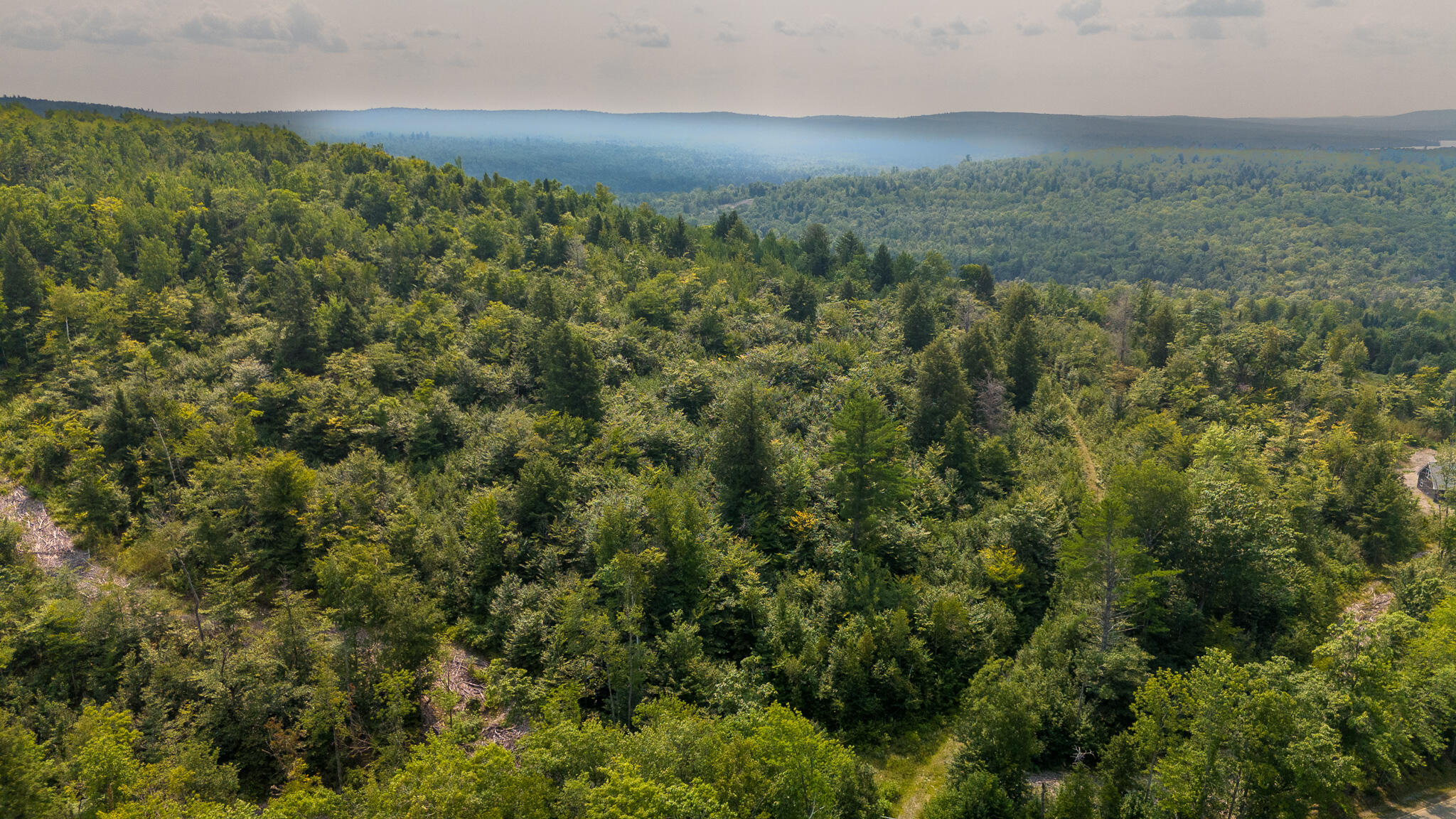 Lot9 Lot9 Bear Brook Sebec, ME 04481 - Photo 10 of 17 DJI_20240813135227_0605_D