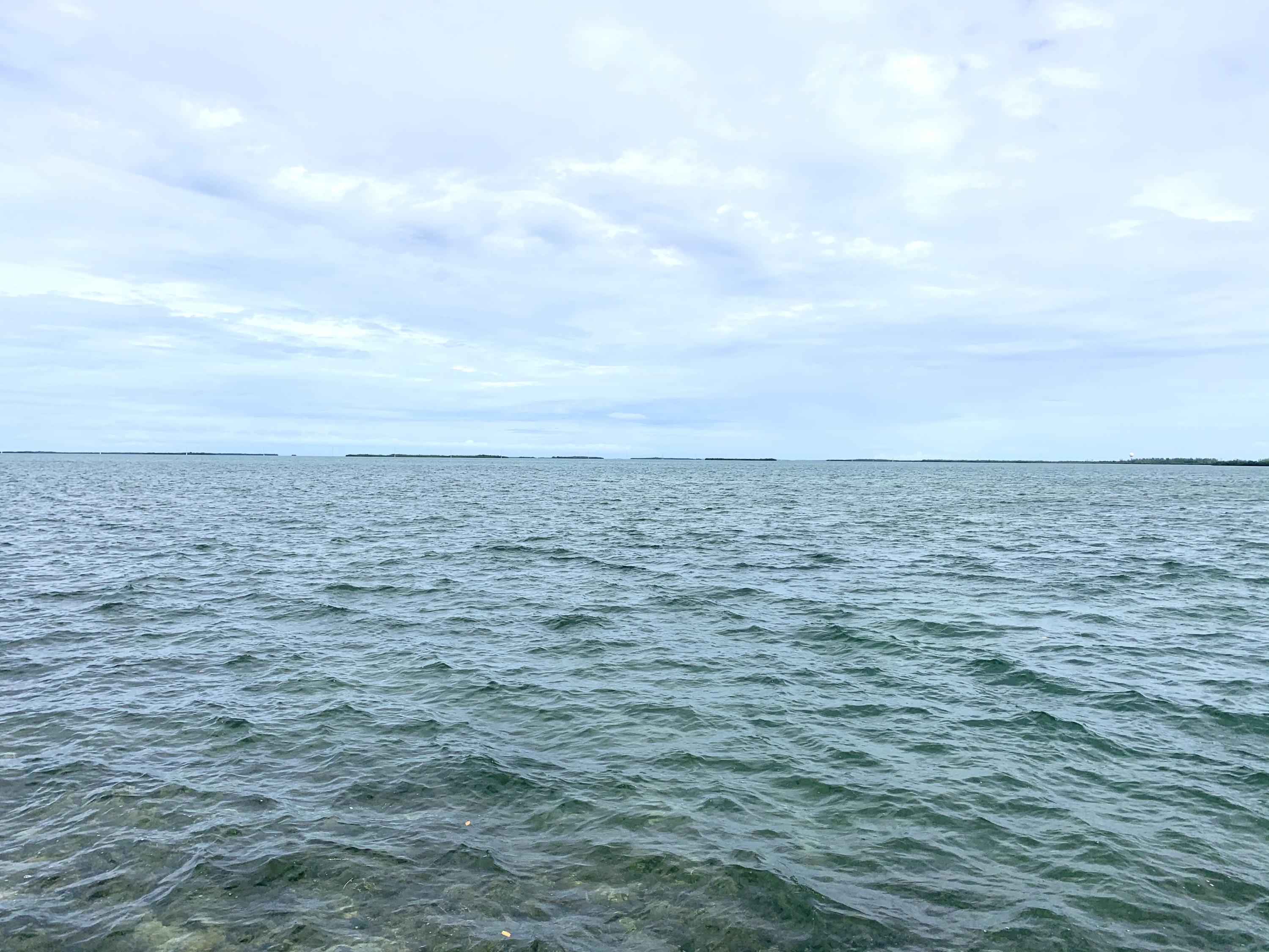 2 Allamanda Terrace Key West, FL 33040 - Photo 3 of 29