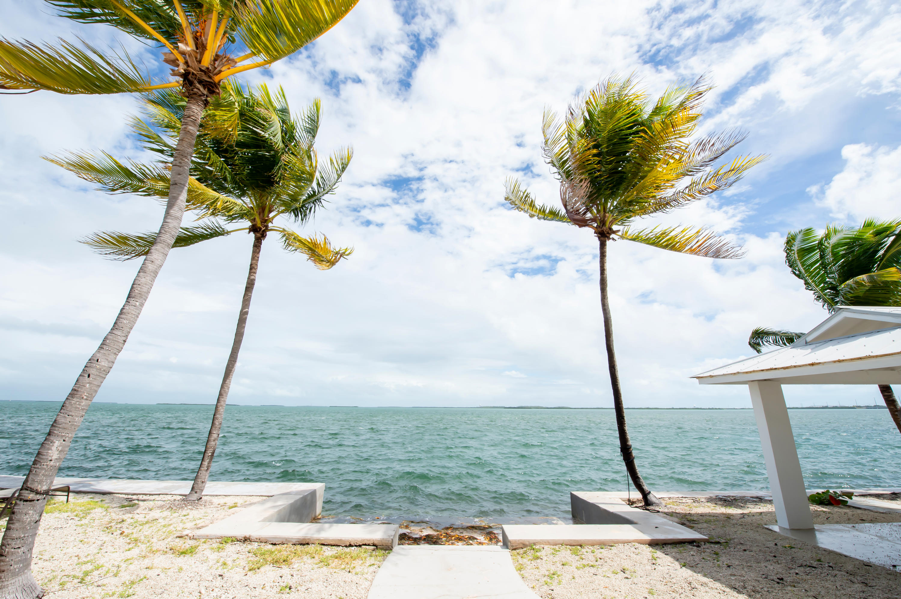 2 Allamanda Terrace Key West, FL 33040 - Photo 21 of 29 a vase of flowers sitting on a table