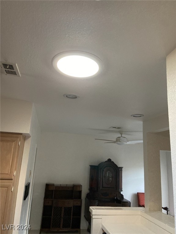 245 Borrego Drive Henderson, NV 89074 - Photo 19 of 20