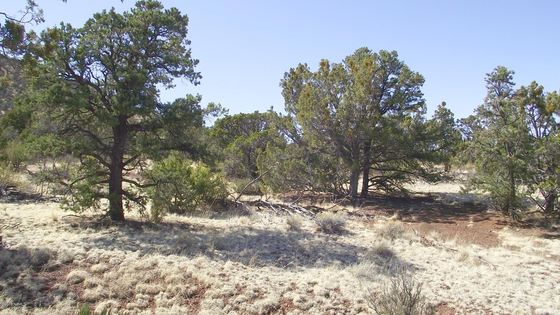 1 East Spring Valley Road Williams, AZ 86046 - Photo 1 of 6 DSCF0898