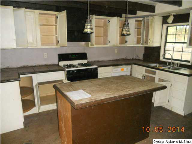 2795 Big Springs Road Ashland, AL 36251 - Photo 3 of 8