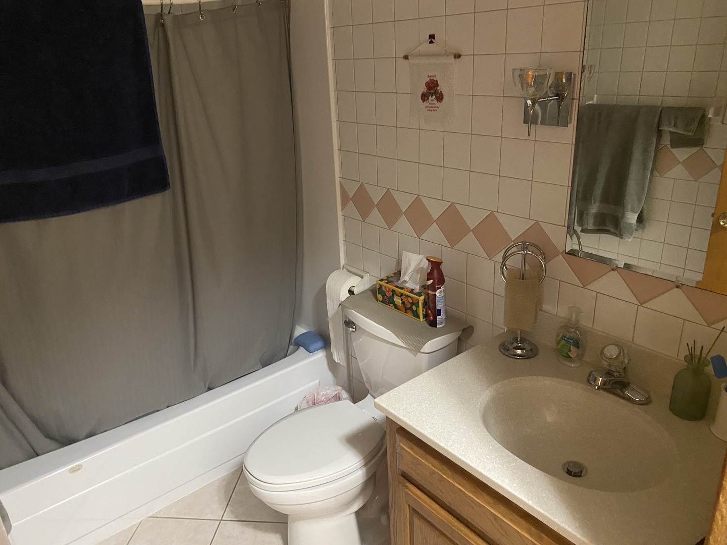 19 Capri Street Streator, IL 61364 - Photo 19 of 35 a bathroom with a sink toilet and shower