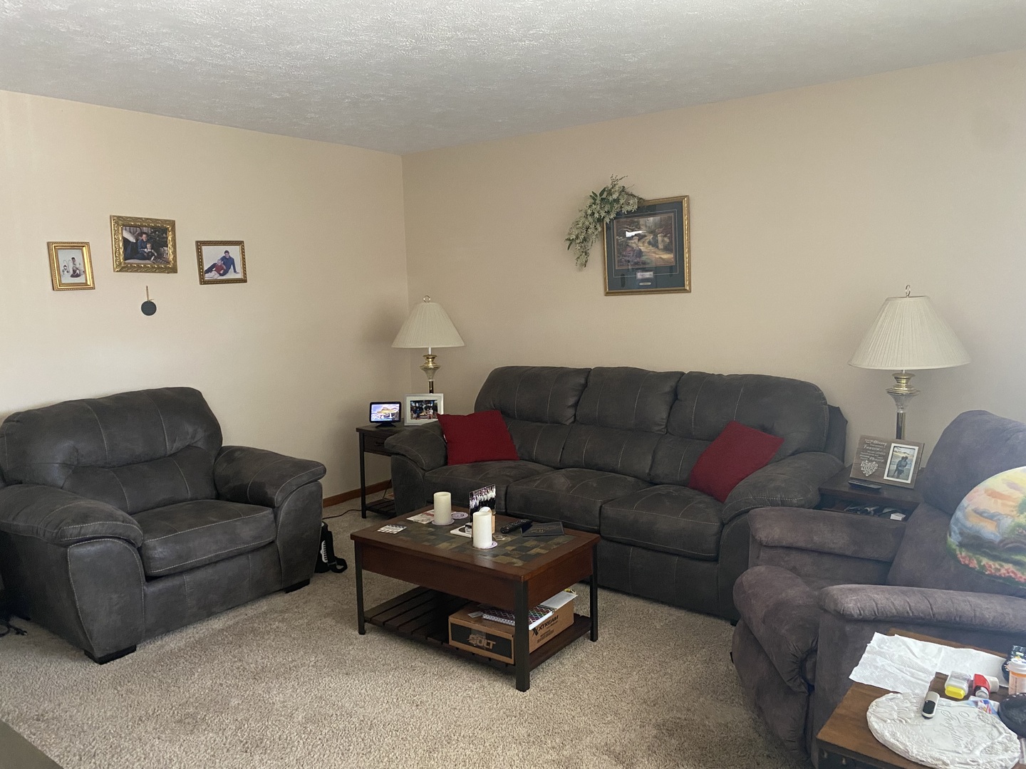 19 Capri Street Streator, IL 61364 - Photo 4 of 35 a living room with furniture a couch a window and a couch