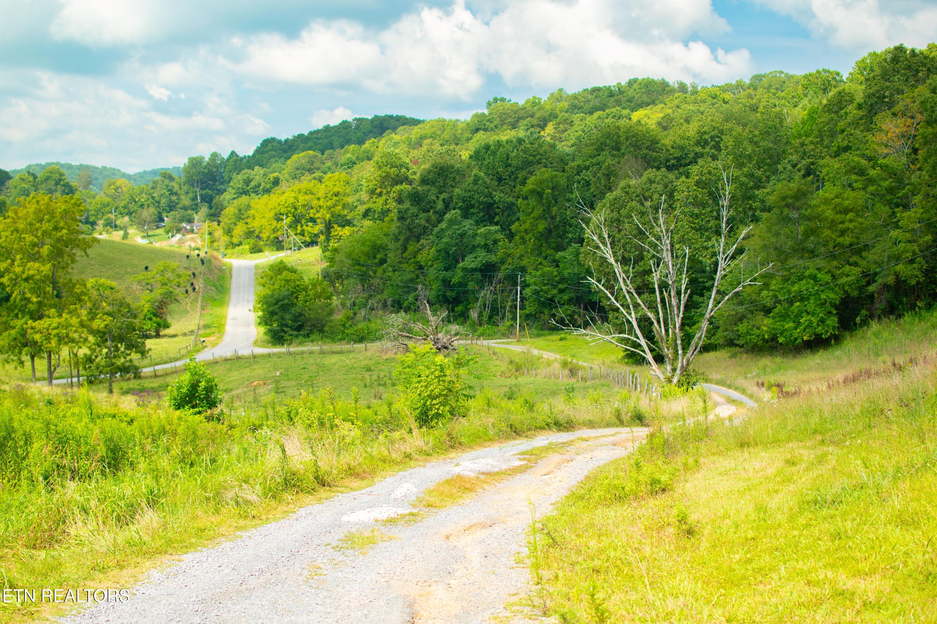 Lot 35 Washington Spring Road Glade Spring, VA 24340 - Photo 32 of 32 31) 64170-68ed29e3153cd
