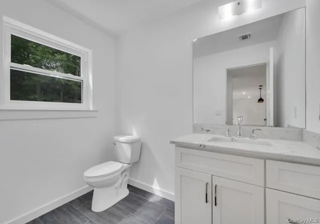 a bathroom with a sink and a toilet