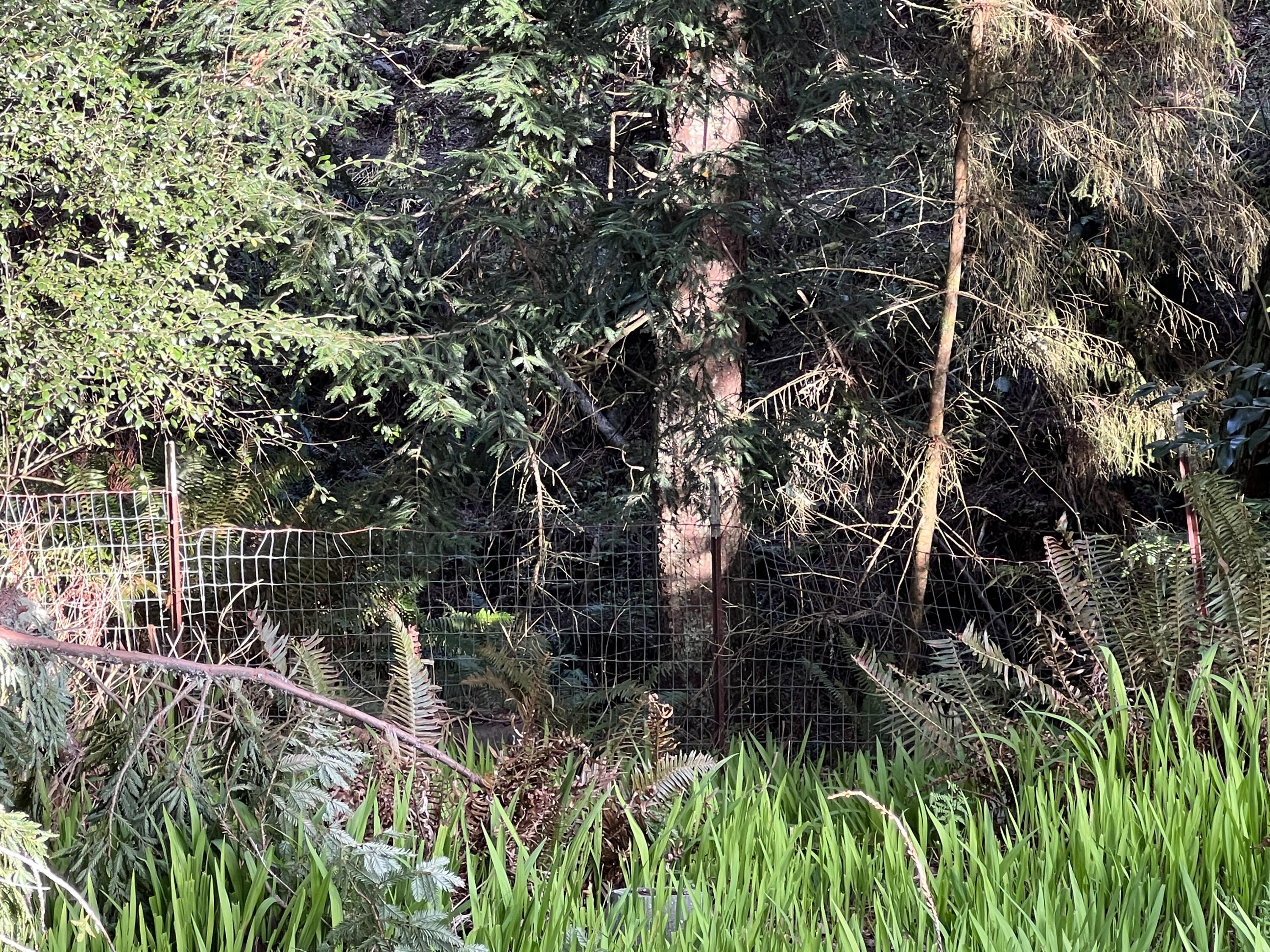 4199 Excelsior Road Eureka, CA 95503 - Photo 60 of 81