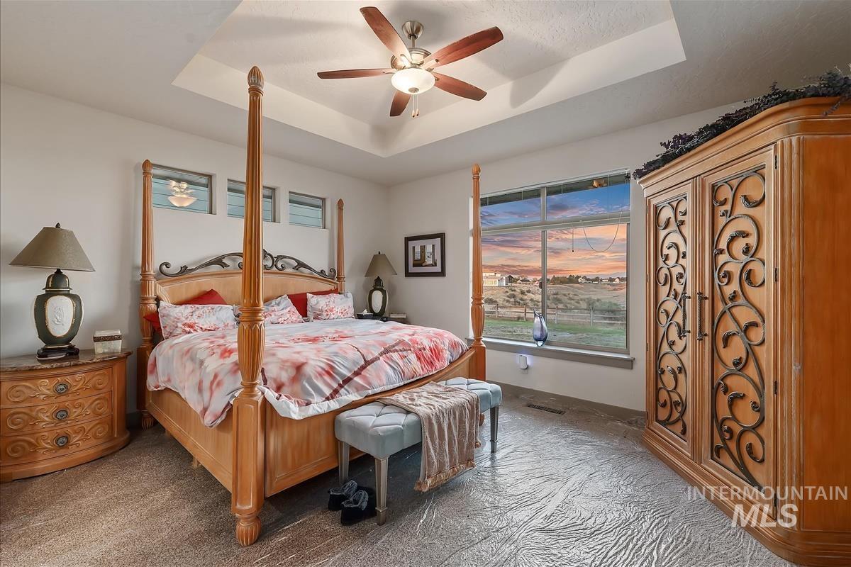 24398 Tombstone Ridge Court Middleton, ID 83644 - Photo 18 of 48 Tray ceiling with a ceiling fan, large window with expansive outdoor scenery, high-set transom windows, and wall-to-wall carpeting