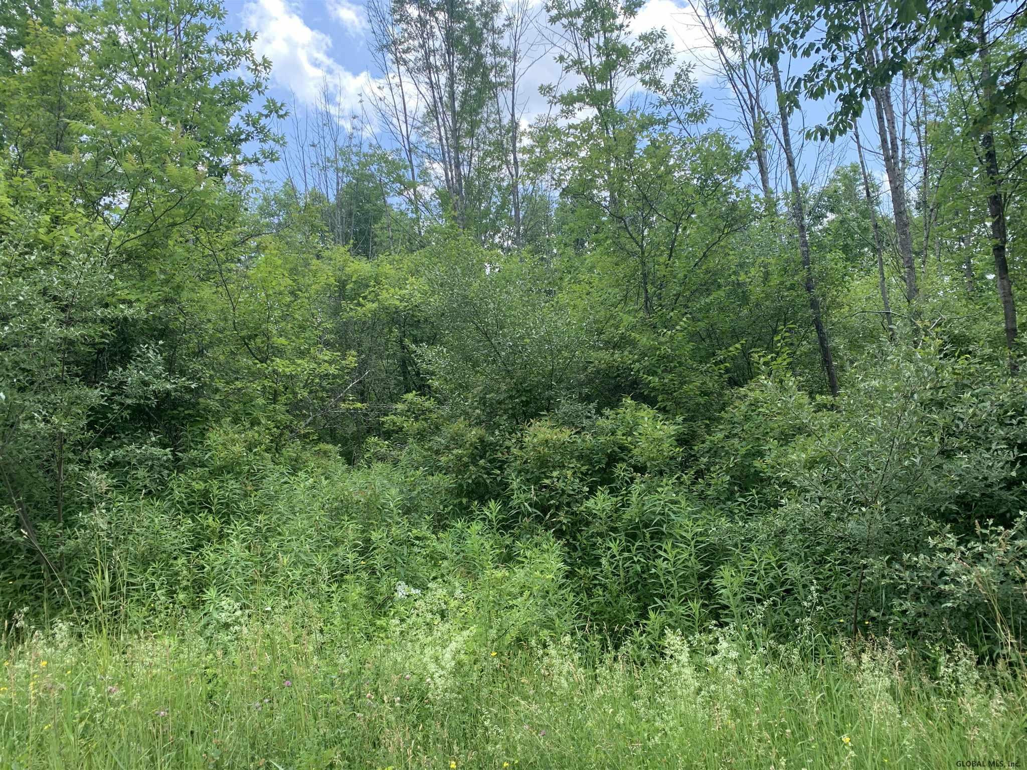 Edwards Edwards Hill Road Oak Hill, NY 12460 - Photo 3 of 3 Photo 3