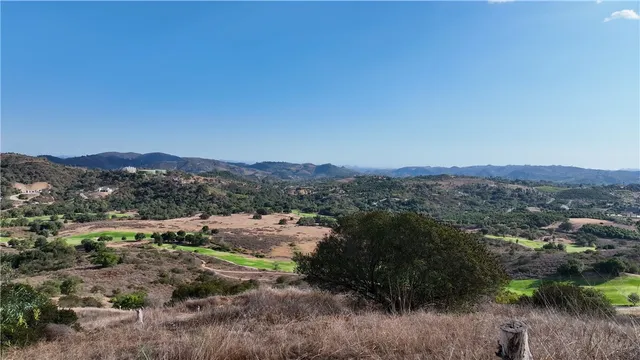 a view of a lush green field with mountains in the background