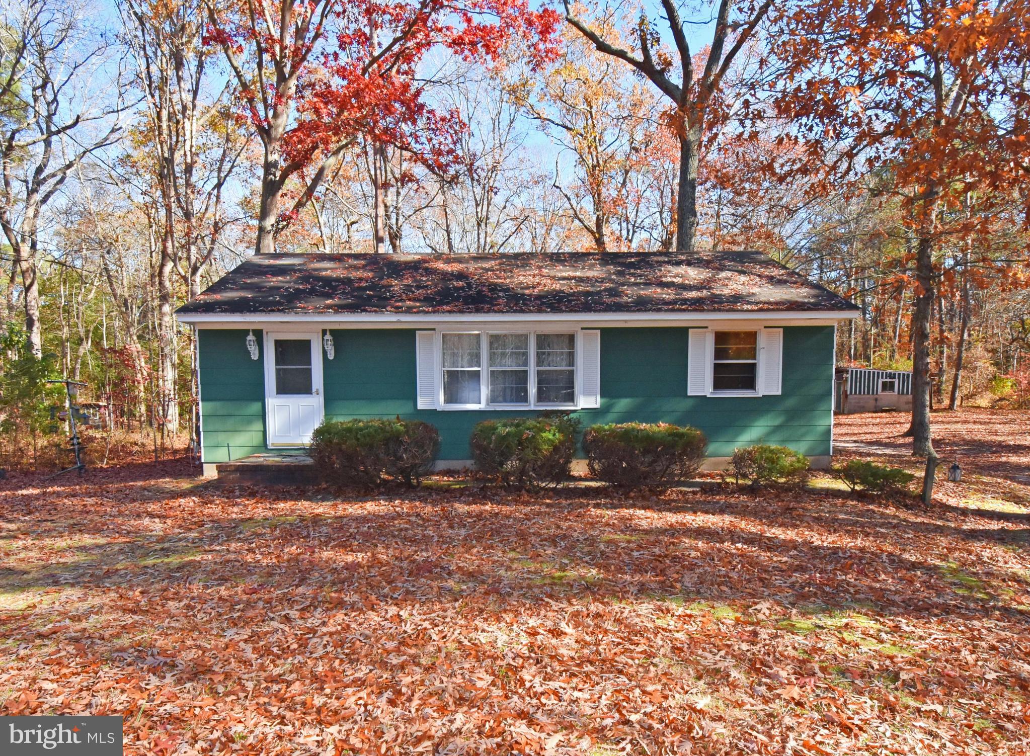 4301 Tyaskin Road Tyaskin, MD 21865 - Photo 1 of 43 a front view of a house with a yard