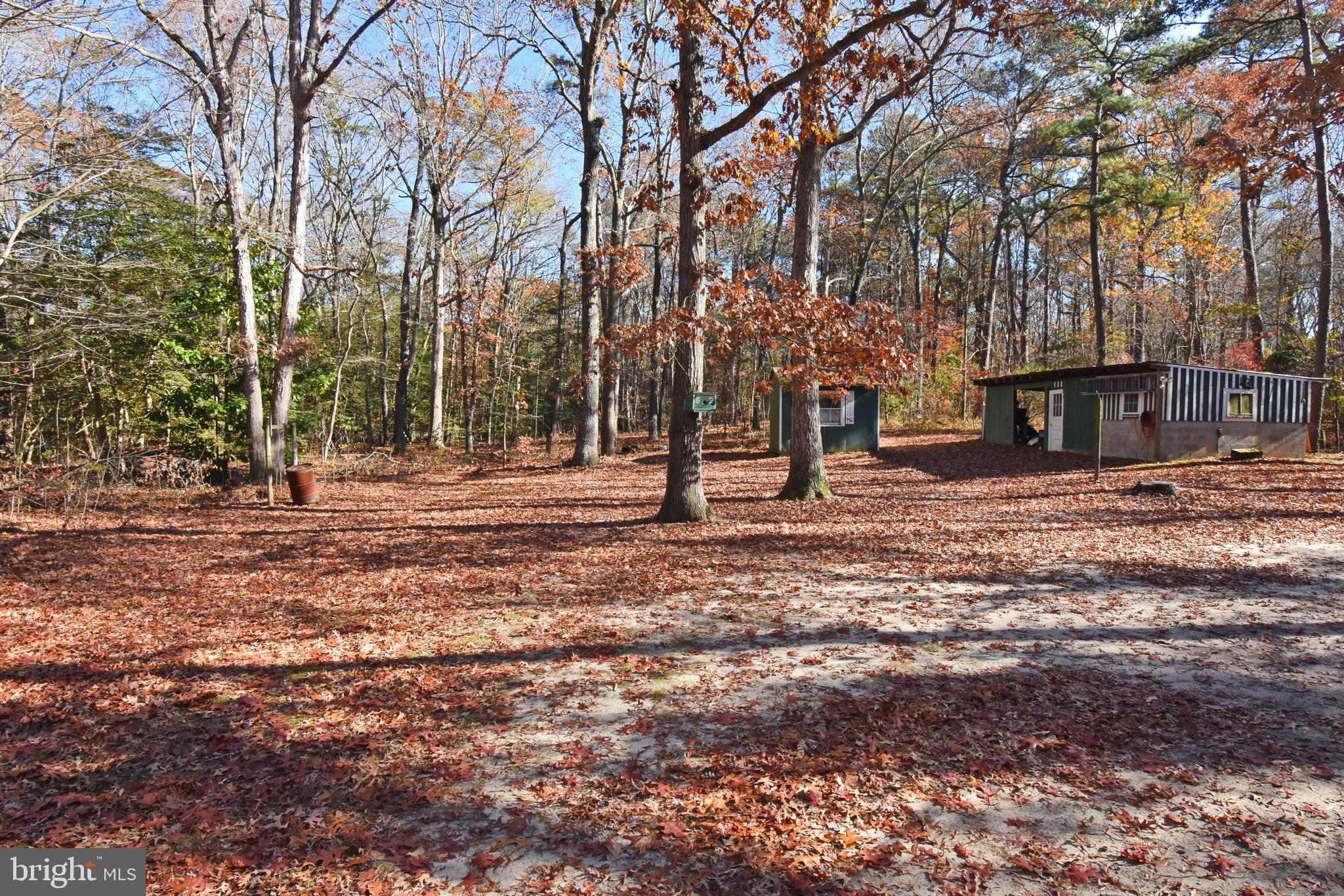 4301 Tyaskin Road Tyaskin, MD 21865 - Photo 2 of 43 a view of road with trees