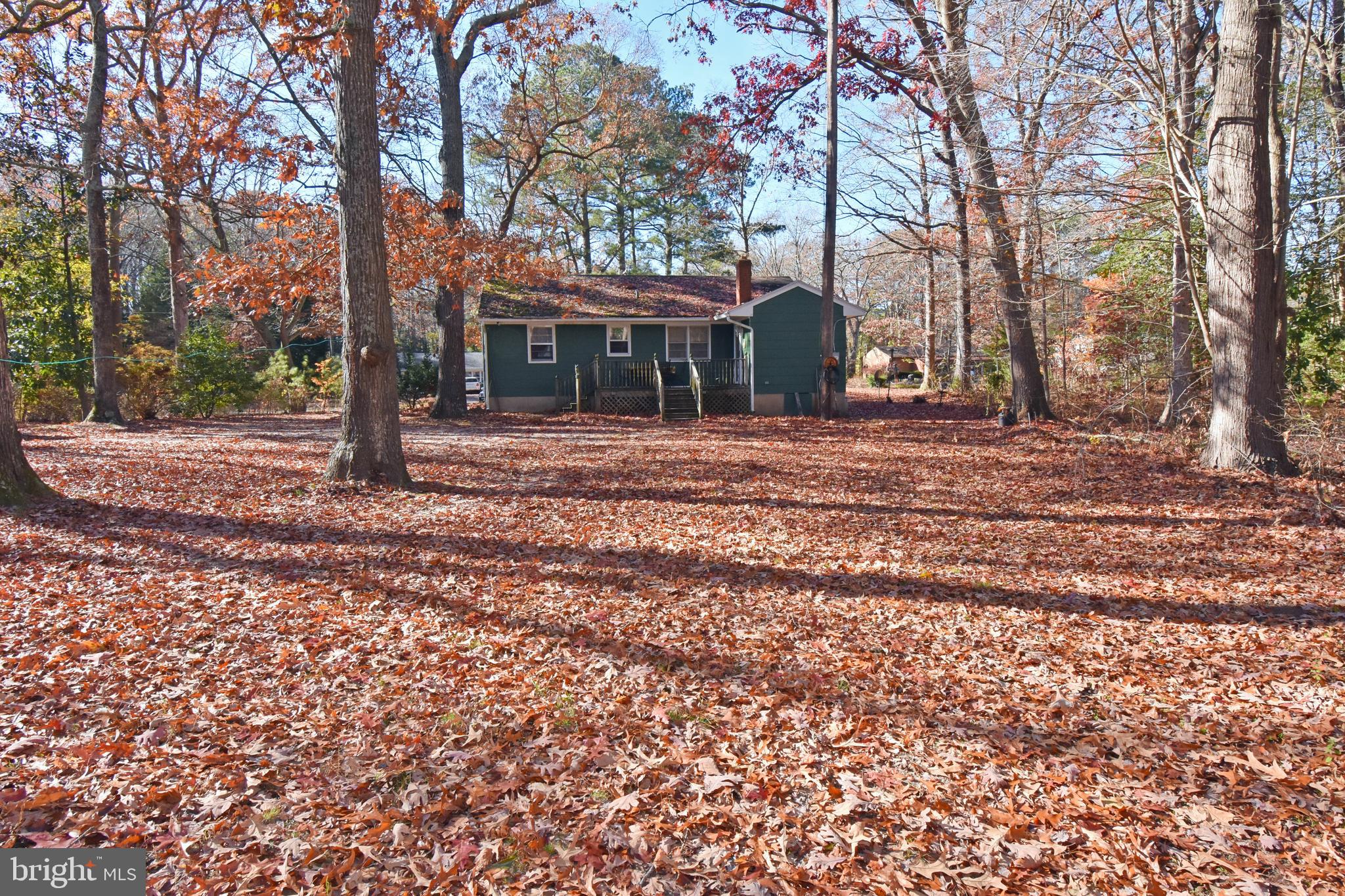 4301 Tyaskin Road Tyaskin, MD 21865 - Photo 35 of 43 a backyard of a house with lots of green space