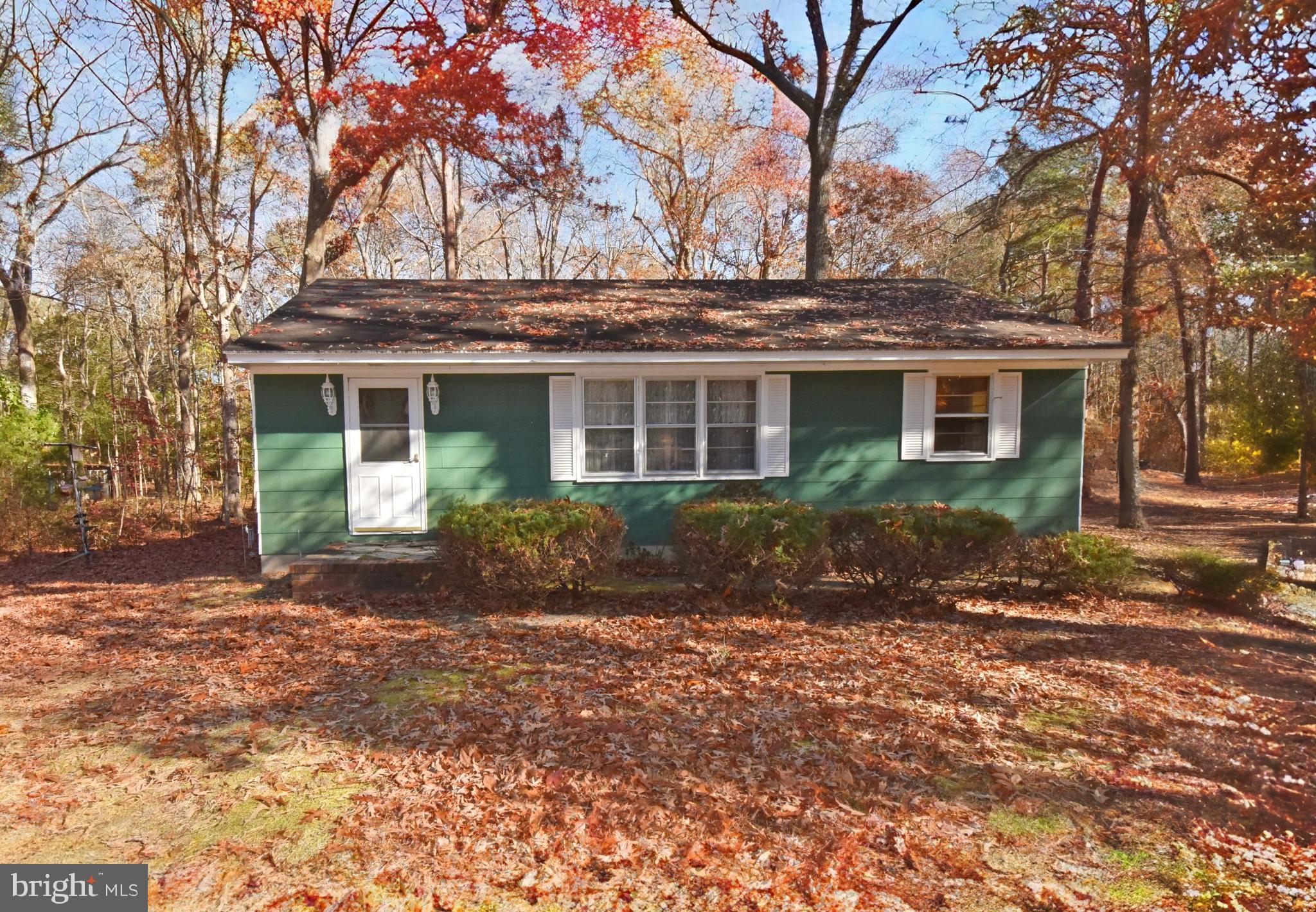 4301 Tyaskin Road Tyaskin, MD 21865 - Photo 37 of 43 front view of house with a yard