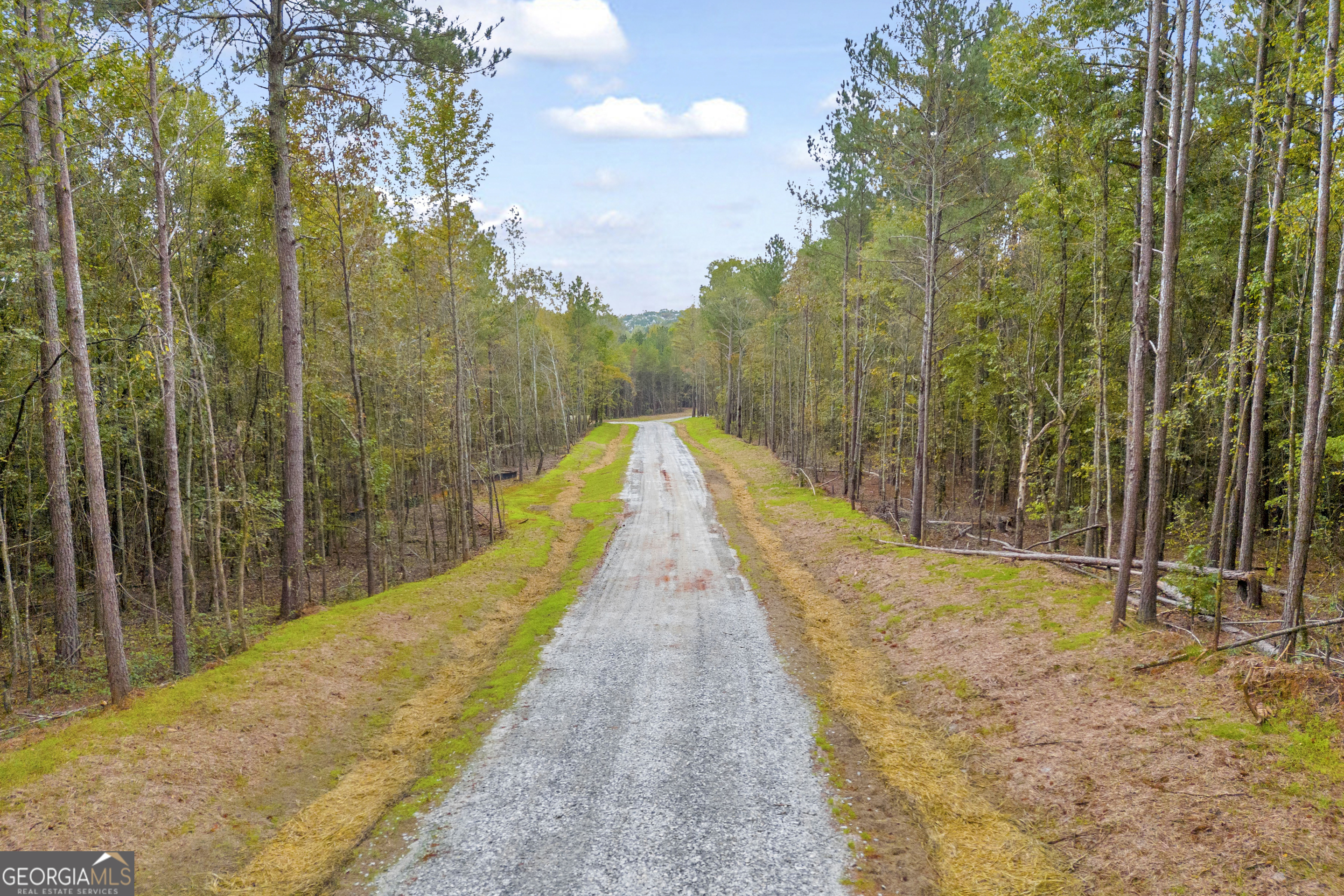 0 Curry Farms Road, Unit LOT 37 Jefferson, GA 30549 - Photo 22 of 36 a view of a swimming pool with a fountain and large trees