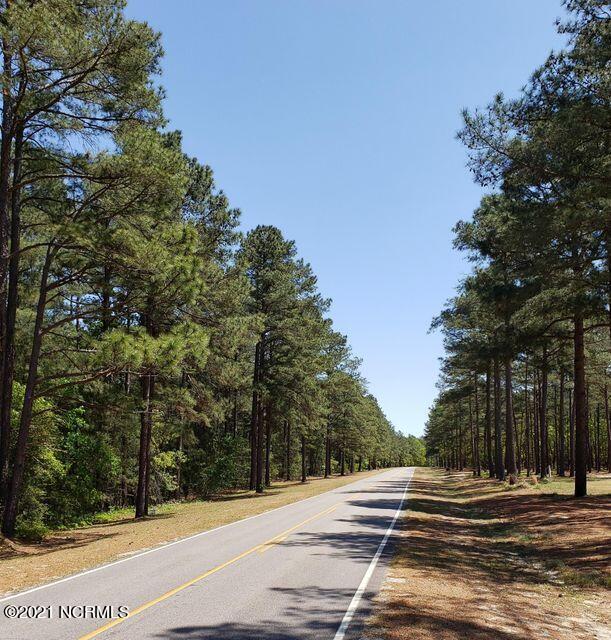 6 Peach Orchard Road Wagram, NC 28396 - Photo 3 of 3 Lovely tree lined road