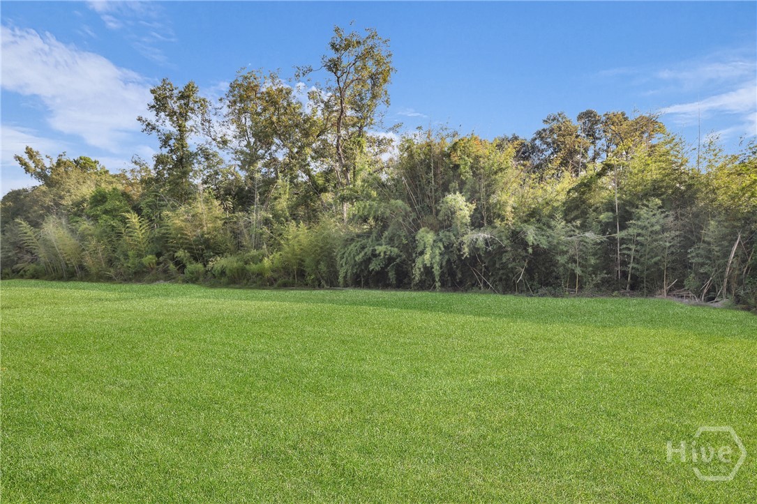 10 Grove Hollow Road Rincon, GA 31326 - Photo 10 of 25 The Ellis Plan by Lawrence Alexander Homes!