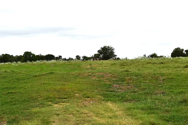 a view of a field with an ocean