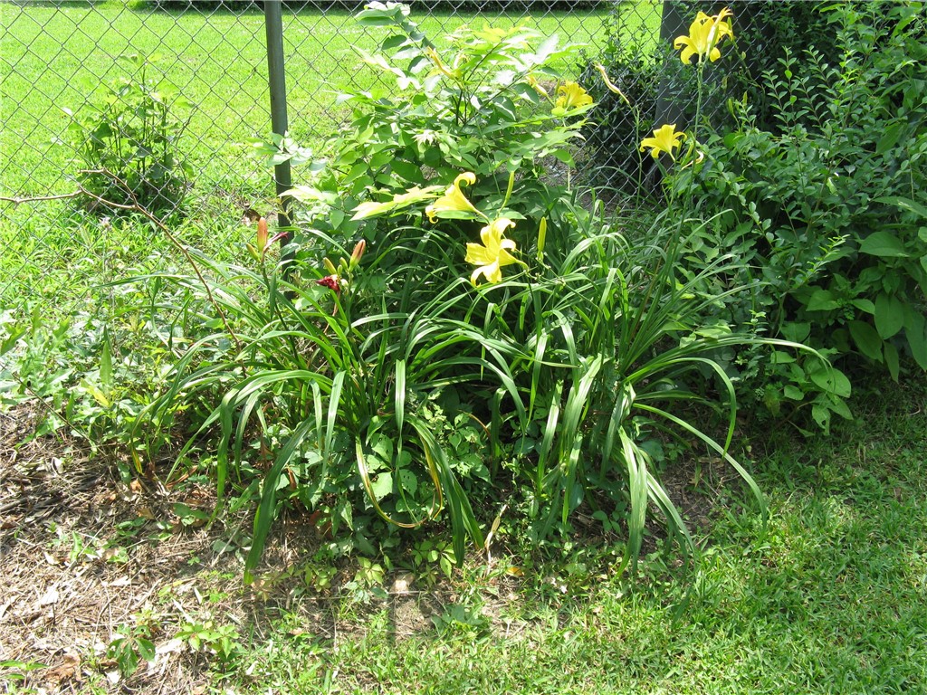 209 Park Drive Iva, SC 29655 - Photo 20 of 20