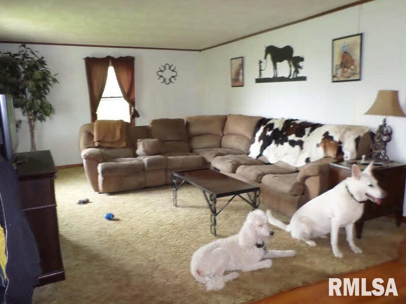 10413 East Bakerville Road Mount Vernon, IL 62864 - Photo 4 of 27 Gallery Image 4