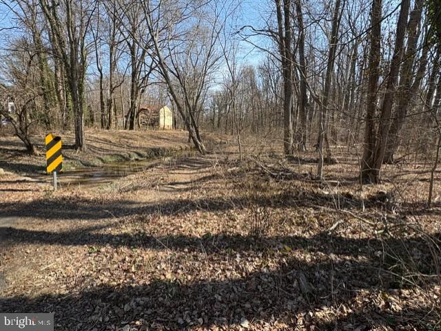 8126 Stacey Road Alexandria, VA 22308 - Photo 15 of 16